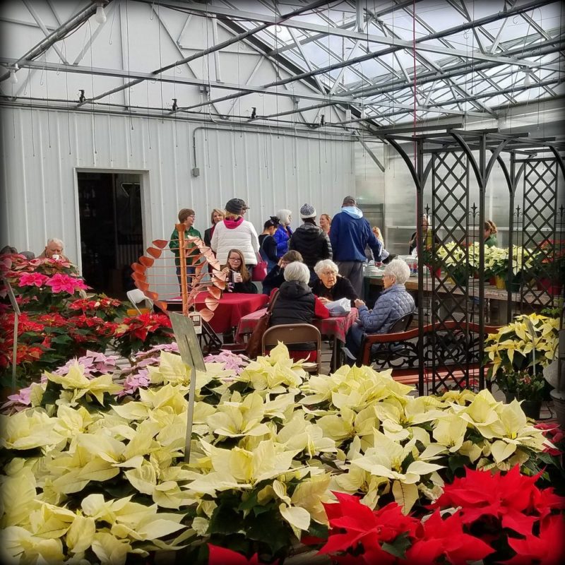 Vander Giessen Nursery Christmas Open House Downtown Lynden Business